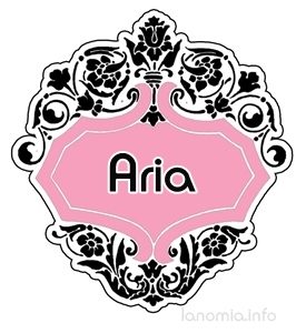 Aria All You Need To Know About This Name